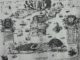 “Cartografia,disegni,miniature delle magistrature veneziane” dell’Archivio di Stato di Venezia. 1670 – Veduta delle Isole Tremiti e del bordo dell’antistante Costa adriatica. Stampa. Autore non indicato; mm. 650 x 505; scala non indicata. Senato, Dispacci Napoli, filza 84.