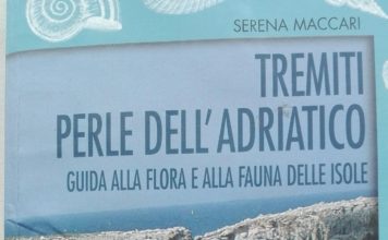 Tremiti, Perle dell’Adriatico