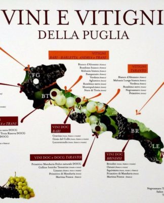 La tradizione vitivinicola in Puglia