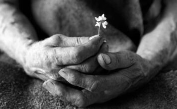 Tempi di miseria. Malattie e scarsità di cibo e acqua: a Tremiti, i coatti si sostituiscono ai frati.
