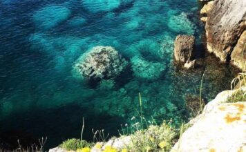 “Osservare, proteggere, produrre”. L’ambrosia d’oro di Loredana.